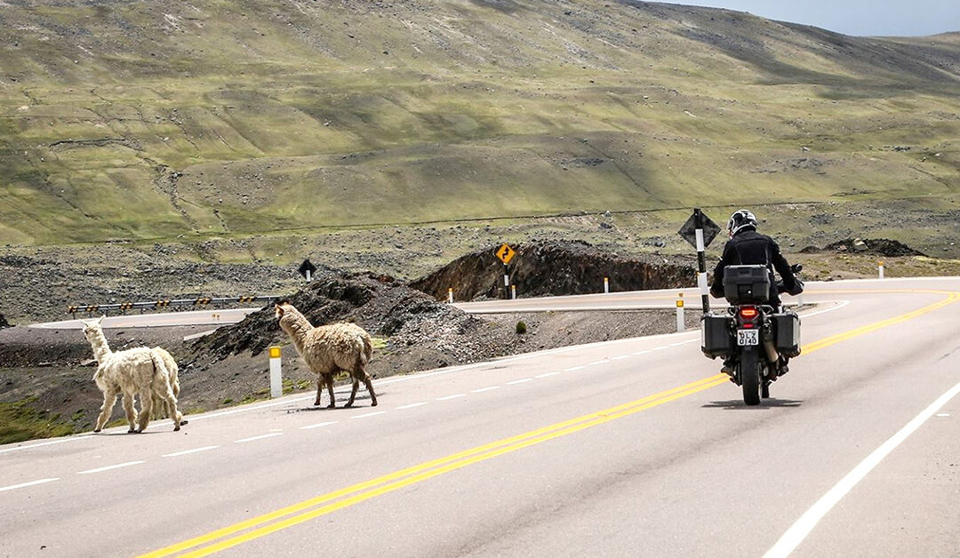 Dicas para pegar a estrada de moto e viajar com segurança