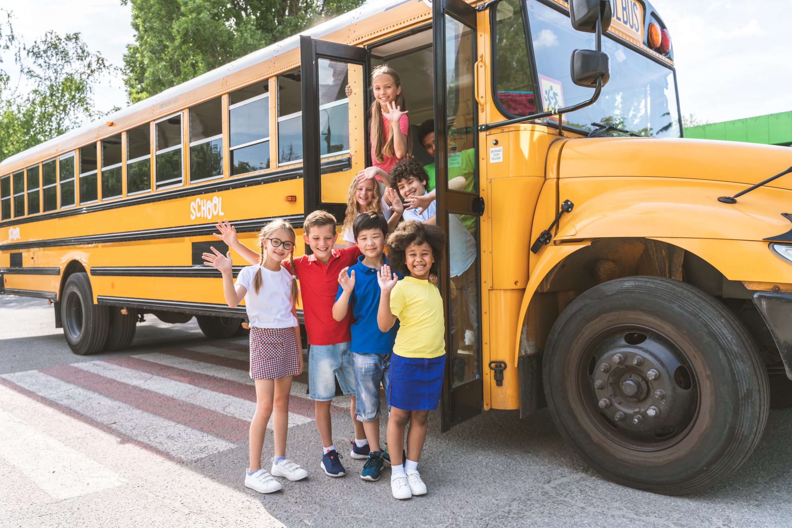 monitor transporte escolar